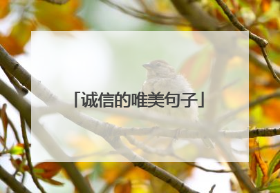 诚信的唯美句子
