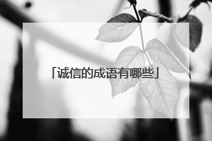 诚信的成语有哪些