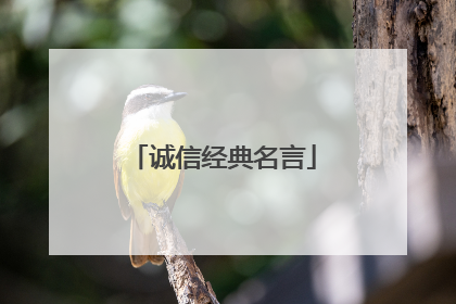 诚信经典名言