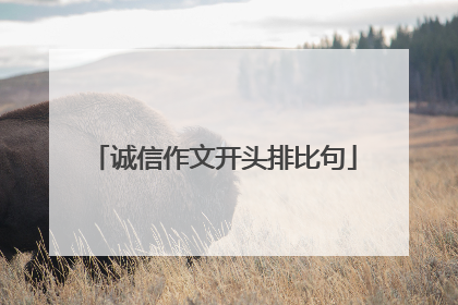 诚信作文开头排比句