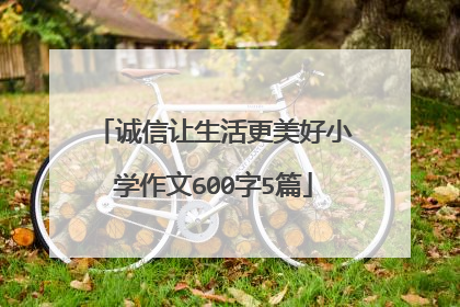 诚信让生活更美好小学作文600字5篇