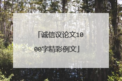诚信议论文1000字精彩例文