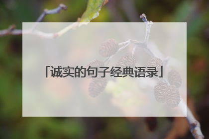 诚实的句子经典语录