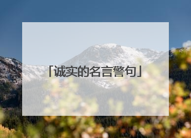 诚实的名言警句
