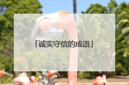 诚实守信的成语