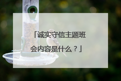 诚实守信主题班会内容是什么？