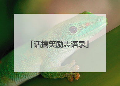 话搞笑励志语录