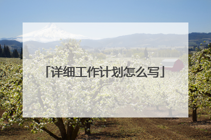 详细工作计划怎么写