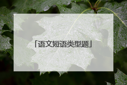 语文短语类型题