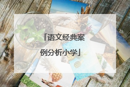 语文经典案例分析小学