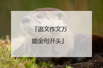 语文作文万能金句开头