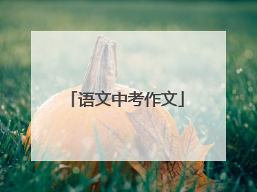 语文中考作文