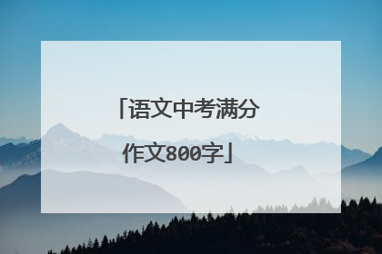 语文中考满分作文800字