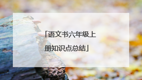 语文书六年级上册知识点总结