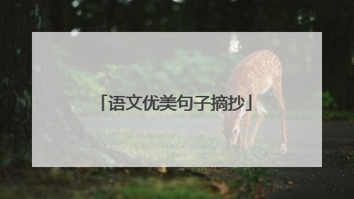 语文优美句子摘抄