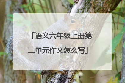 语文六年级上册第二单元作文怎么写