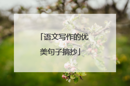 语文写作的优美句子摘抄
