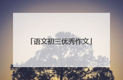 语文初三优秀作文