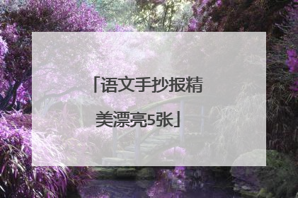 语文手抄报精美漂亮5张