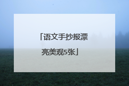 语文手抄报漂亮美观5张