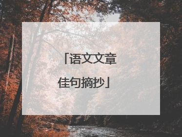 语文文章佳句摘抄