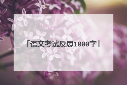 语文考试反思1000字