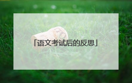 语文考试后的反思