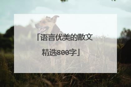 语言优美的散文精选800字