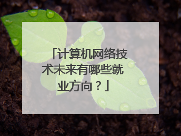 计算机网络技术未来有哪些就业方向?