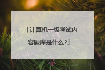 计算机一级考试内容题库是什么?