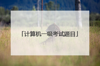 计算机一级考试题目
