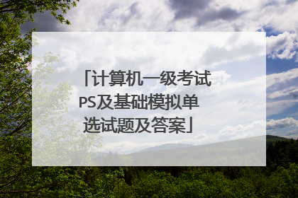 计算机一级考试PS及基础模拟单选试题及答案