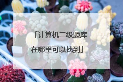 计算机二级题库在哪里可以找到