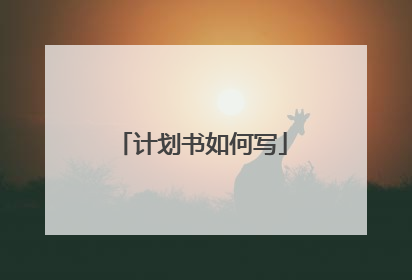 计划书如何写