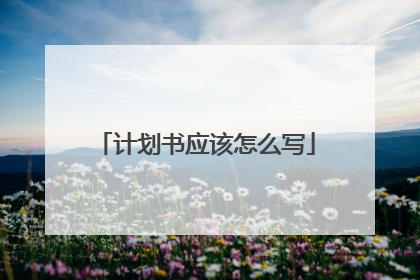 计划书应该怎么写