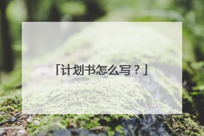 计划书怎么写?