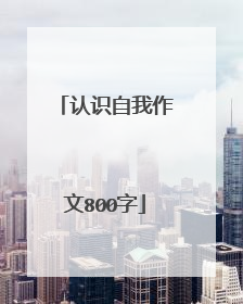 认识自我作文800字