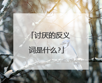 讨厌的反义词是什么?