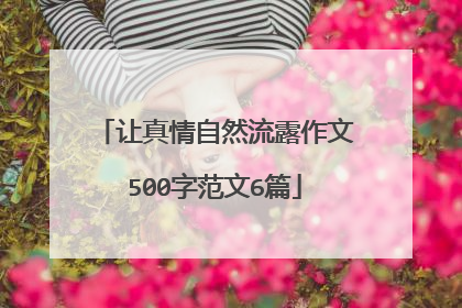 让真情自然流露作文500字范文6篇