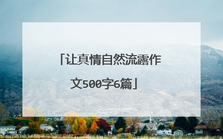 让真情自然流露作文500字6篇