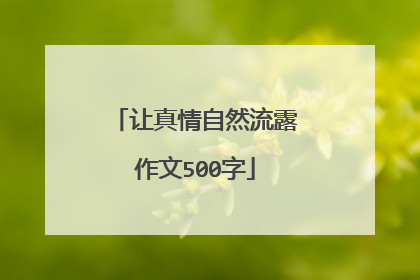 让真情自然流露作文500字