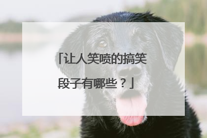 让人笑喷的搞笑段子有哪些?