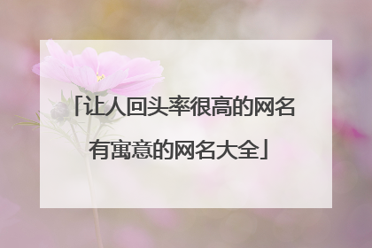 让人回头率很高的网名 有寓意的网名大全