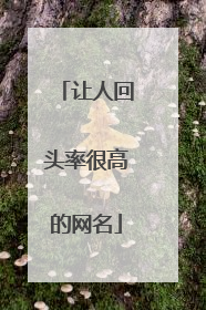 让人回头率很高的网名