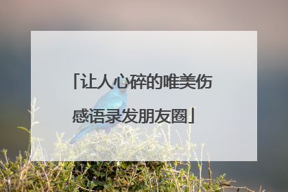 让人心碎的唯美伤感语录发朋友圈
