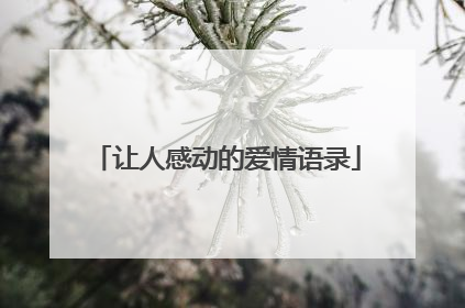 让人感动的爱情语录
