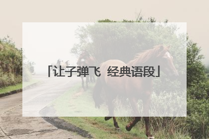 让子弹飞 经典语段