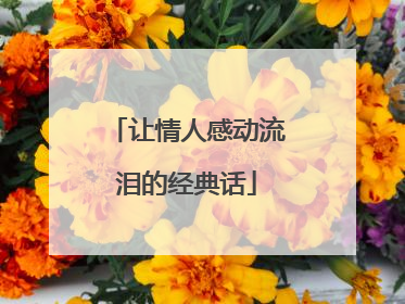 让情人感动流泪的经典话