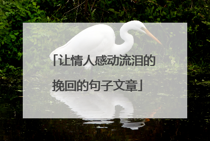 让情人感动流泪的挽回的句子文章