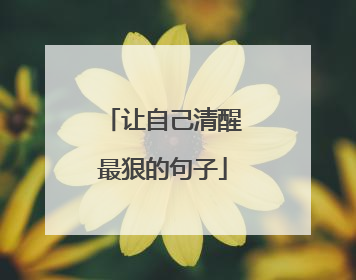 让自己清醒最狠的句子